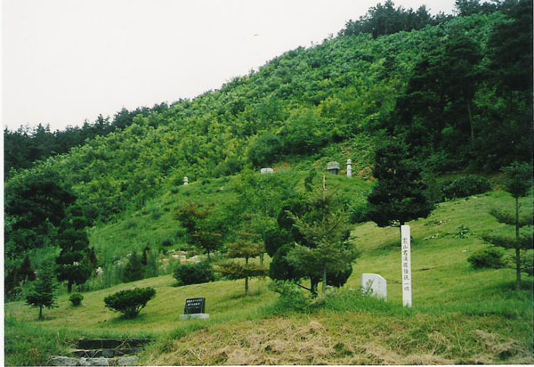 ankim04-13b.jpg